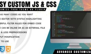 Easy Custom JS and CSS – Extra Customization for WordPress