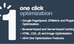 One Click – WordPress Speed & Performance Optimization