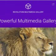 Revolution Multimedia Gallery WordPress Plugin