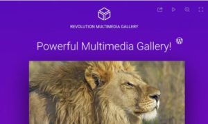 Revolution Multimedia Gallery WordPress Plugin