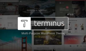 Terminus – Responsive Multi-Purpose WordPress Theme