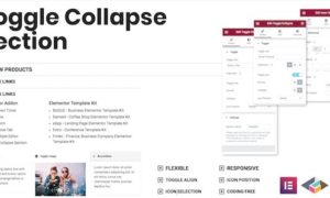 Toggle Collapse Section Elementor Addon