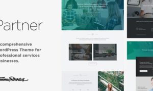 Partner – Accounting and Law Responsive WordPress Theme