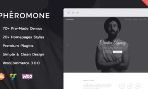 Pheromone – Creative Multi-Concept WordPress Theme