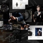 SwissEagle – Watch Store WordPress Theme