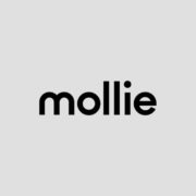 Rocket Genius Gravity Forms Mollie Addon