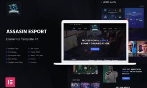 Assasin | eSport & Gaming Elementor Template Kit