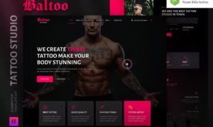 Baltoo – Tattoo Studio and Artist Elementor Template Kit