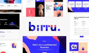 Birru – Simple Portfolio Elementor Template Kit