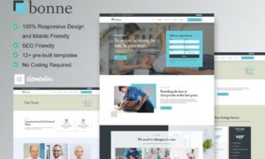 Bonne – Chiropractic & Physiotherapy Elementor Template Kit