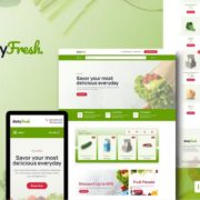 DailyFresh – Grocery Store Elementor Template Kit