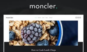 Moncler – Food Blog Elementor Template Kit