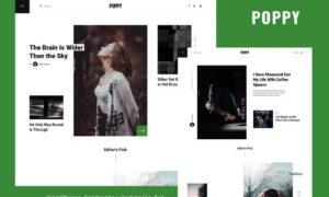 Poppy – Blog & Magazine Elementor Template Kit