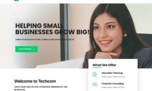 Techcom – Investment Consulting Elementor Template Kit