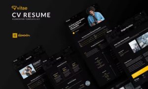 Vitae – CV Resume Elementor Template Kit