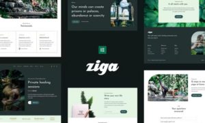 Ziga – Healer & Life Coach Elementor Template Kit