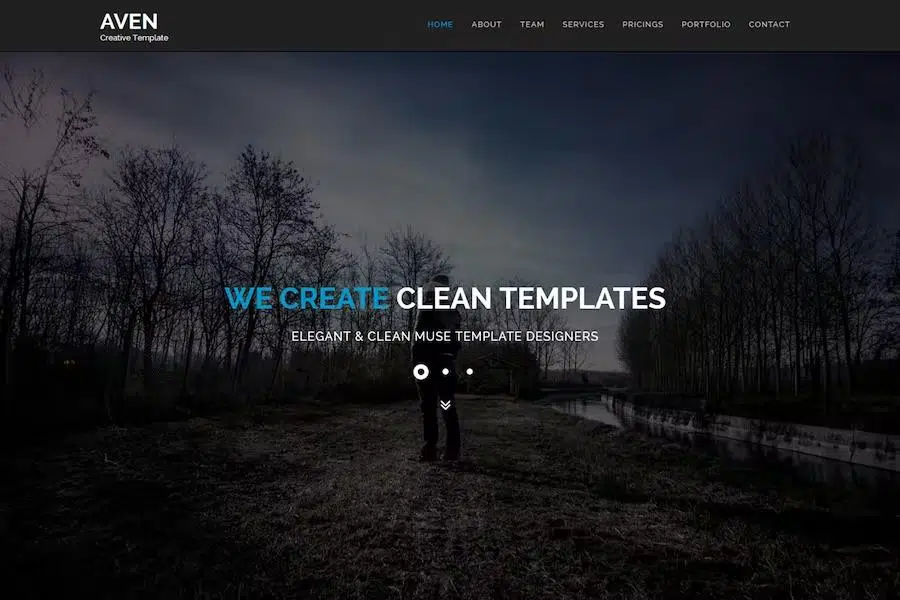 Aven – Multipurpose Parallax HTML Template