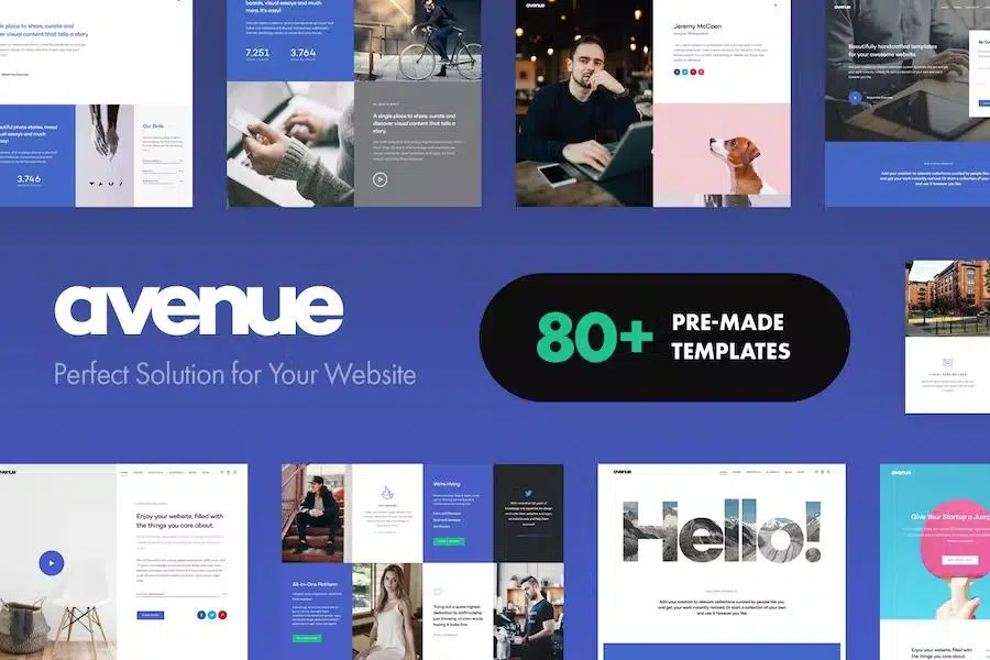 Avenue – Creative Multi-Purpose WordPress Theme