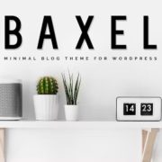 Baxel – Minimal Blog Theme for WordPress