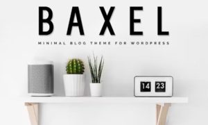 Baxel – Minimal Blog Theme for WordPress