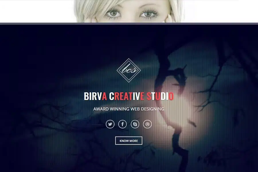 Birva – Bootstrap Parallax One Page Template