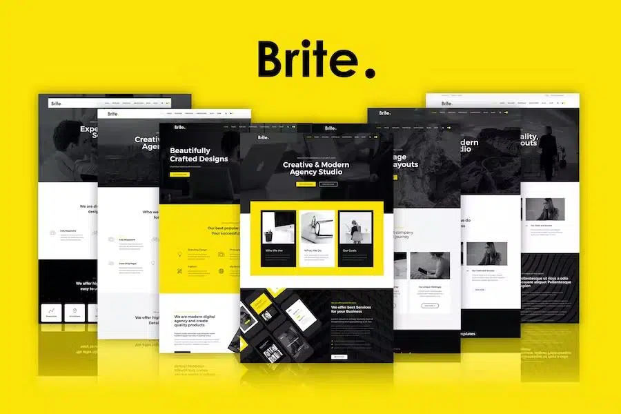 Brite – Responsive MultiPurpose HTML5 Website Template – Business