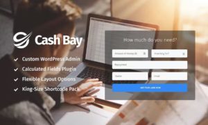 Cash Bay -Banking and Payday Loans WordPress Theme