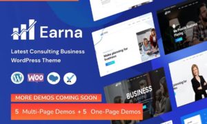 Earna – Business Consulting