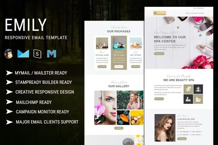 Emily – Responsive Email Template