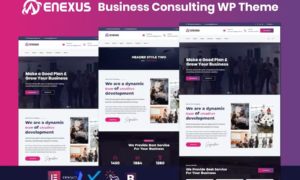 Enexus – Consulting Business Elementor WordPress Theme