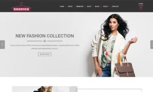 Fashion Clothing eCommerce Bootstrap Template – Shopick