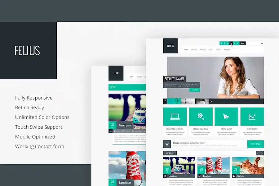 Felius – Responsive Multipurpose Template