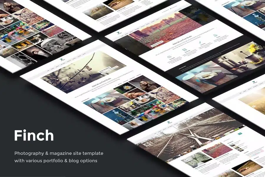 Finch – Photography Template for Photographers