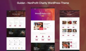 Guidan – NonProfit Charity WordPress Theme