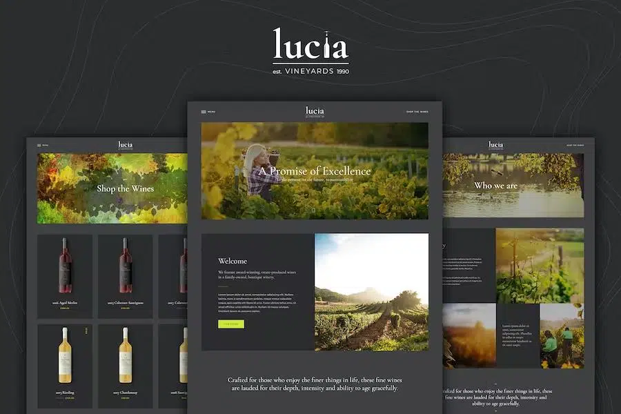 Lucia – Wine WordPress Theme