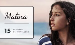 Malina – Personal WordPress Blog Theme