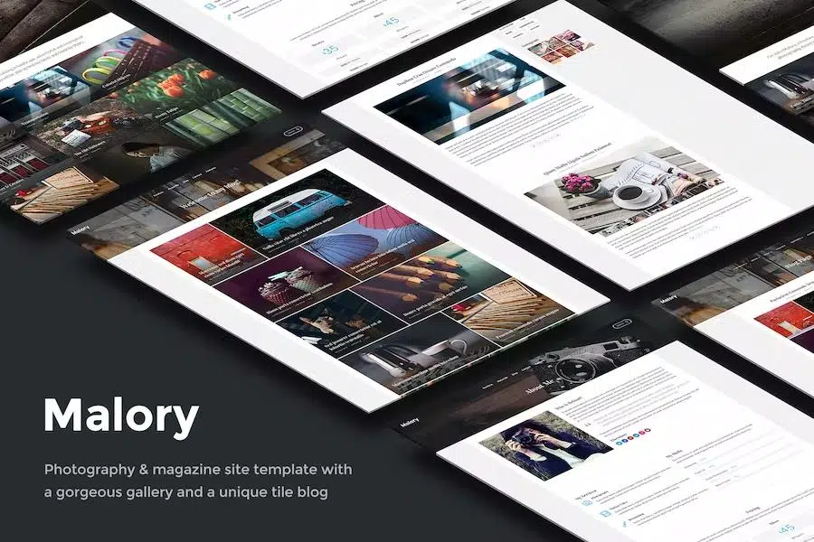 Malory – Photography Template for Photographers