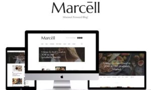 Marcell – 20+ Layouts Multi-Concept Personal Blog & Magazine WordPress Theme