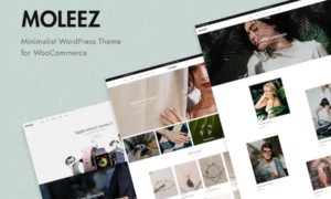 Moleez – Minimalist WordPress Theme for WooCommerce