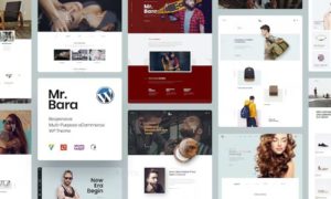 Mr.Bara – Responsive Multi-Purpose eCommerce WordPress Theme