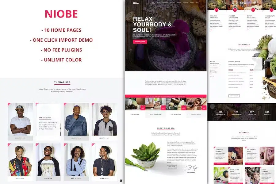 Niobe – Spa & Salon WordPress Theme