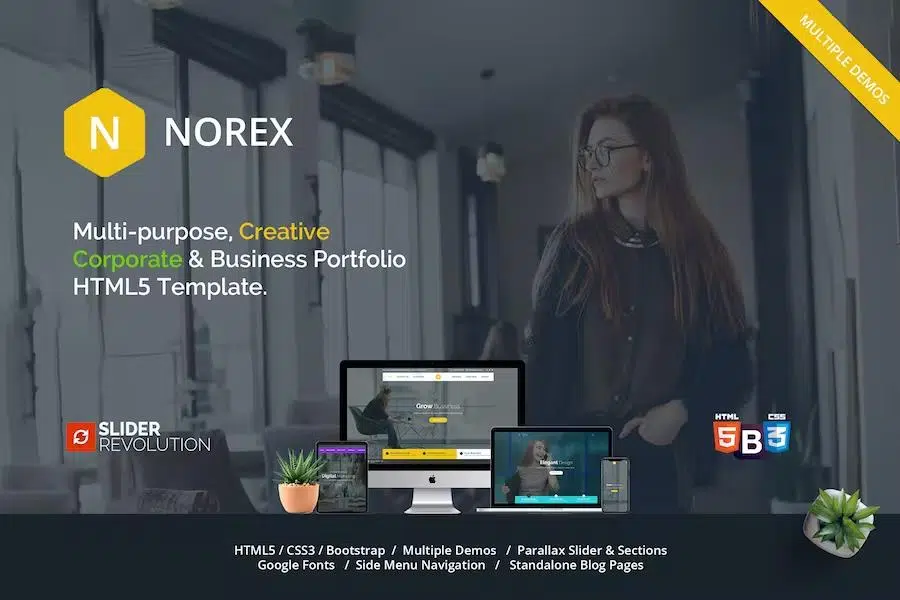 Norex – One Page Parallax