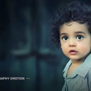 PhotoBuddy – Photography WordPress Theme