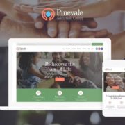 Pinevale – Addiction Recovery and Rehabilitation Center WordPress Theme