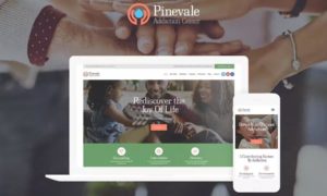 Pinevale – Addiction Recovery and Rehabilitation Center WordPress Theme