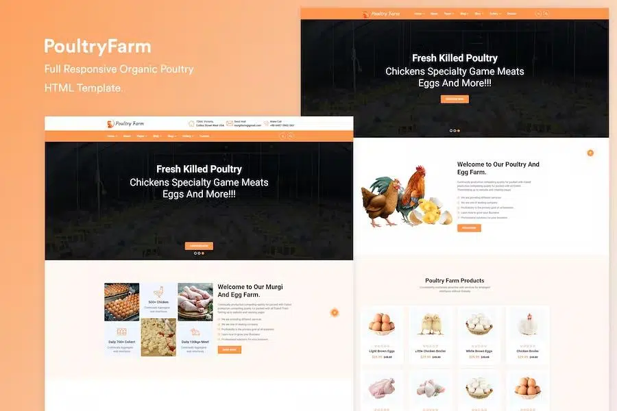 PoultryFarm – Organic Poultry HTML Template.