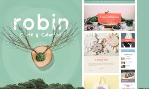 Robin – Cute & Colorful Blog Theme