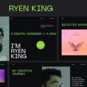 Ryen King – Personal CV Resume WordPress Theme