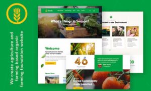 Seodo – Agriculture Farming Foundation WordPress Theme