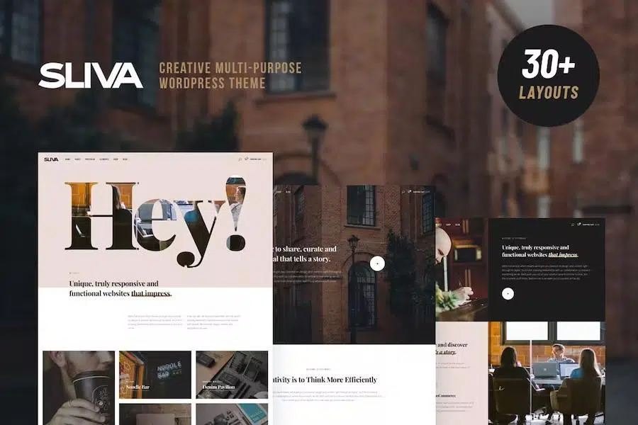 Sliva – Responsive Multi-Purpose Theme